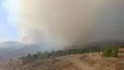Bilecik'in İnhisar İlçesinde Ağaçlandırma Sahasında Yangın Çıktı