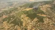 Aydın'ın Çine İlçesinde Orman Yangını 2 Saatte Kontrol Altına Alındı