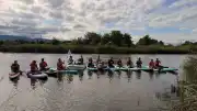 Samsun'da Kano ve SUP Sporcuları Çevre Temizliği İçin Kürek Çekti