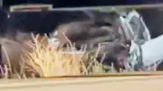Z.B.Y. ve M.Ü.'in de aralarında bulunduğu 4 kişi hayatını kaybetti