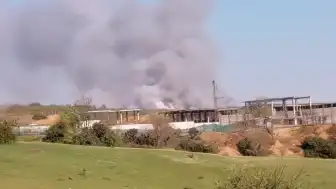 Beykoz'da Orman Yangını: Müdahale Sürüyor