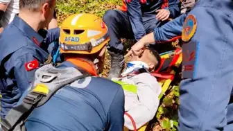 Samsun'da Kayalık Alana Düşen Kişi AFAD Tarafından Kurtarıldı