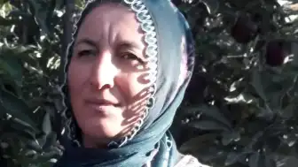 İş Yerinde Ağaç Faciası: Kadın Hayatını Kaybetti