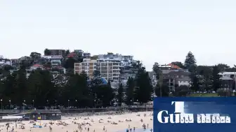 Coogee Plajı'nda Köpekbalığı Saldırısı: Bir Kadın Ağır Yaralandı