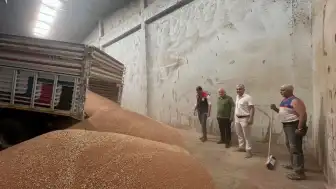 Koçarlı'da İlk Hububat Alımı Yapıldı