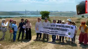 TMMOB Çevre Mühendisleri Odası'ndan İstanbul Çevre Durumu Raporu: Su Kaynakları Üzerindeki Baskı Artıyor