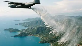 İzlanda'da Erozyonla Mücadelede Kullanılan Alaska Lupini Bitkisi Yeni Bir Ekolojik Krize Yol Açtı
