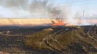 Şırnak'ın Cizre ilçesinde buğday tarlasında yangın: 10 dönüm zarar oluştu