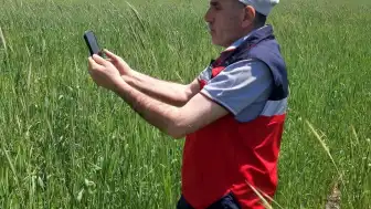 Kütahya'da Tarım Arazileri ve Ürünleri Kontrol Edildi