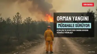 Aydın'da Orman Yangınlarına Müdahale Sürüyor: Çine ve Gömeç'teki Alevlerde Sıcaklık 441 Dereceye Ulaştı