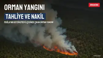 Muğla'da Orman Yangını: 202 Kişi ve 50 Hayvan Tahliye Edildi, Hastalar Nakledildi