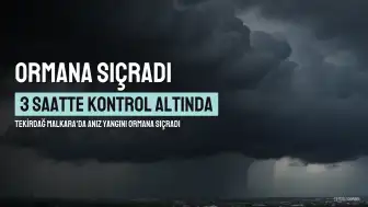 Tekirdağ Malkara'da Anız Yangını Ormana Sıçradı: 3 Saatte Kontrol Altına Alındı