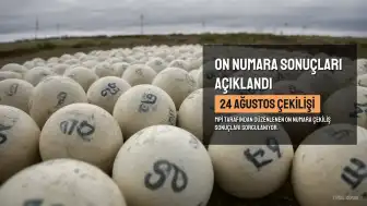 24 Ağustos On Numara Çekiliş Sonuçları Sorgulama Ekranı Açıldı