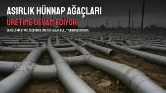Denizli'de Asırlık Hünnap Ağaçları Üretime Devam Ediyor