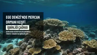 Ege Denizi'nde Mercan Ormanı Keşfi: İşbirliği Çağrısı