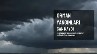 Kanada'da Orman Yangınlarında Can Kaybı Yaşandı