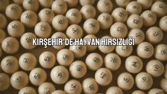 Kırşehir'de Hayvan Hırsızlığı Zanlısı Tutuklandı