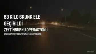 Zeytinburnu'nda 83 Kilogram Skunk Ele Geçirildi, S.A. Gözaltına Alındı