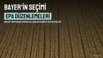 ABD Çevre Ajansı, Tartışmalı Herbisit İçin Bayer'in Düzenlemeleri Seçmesine İzin Verdi