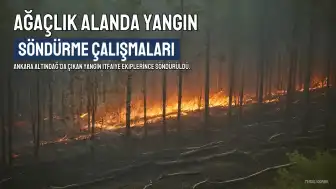 Ankara'da Ağaçlık Alanda Çıkan Yangın Söndürüldü