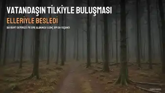 Bayburt'ta Vatandaşın Tilkiyle Kurduğu Dostluk Kameraya Yansıdı