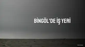 Bingöl'de İş Yeri Hırsızlığı: Zanlı Tutuklandı
