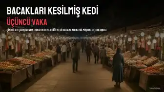 Çiniciler Çarşısı'nda Bacakları Kesilmiş Kedi Bulundu: Üçüncü Vaka İddiası