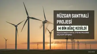 Danıştay Tarafından İptal Edilen Rüzgar Enerji Santrali Projesi Yeniden Onaylandı: 14 Bin Ağaç Kesildi