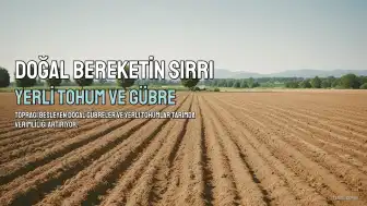 Doğal ve Kimyasal Gübrelerin Tarımsal Üretimdeki Rolü ve Etkileri