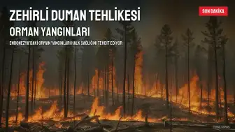 Endonezya'da Orman Yangınları Nedeniyle Zehirli Duman Yayılıyor, 175 Bin Kişi Solunum Yolu Hastalıklarına Yakalandı