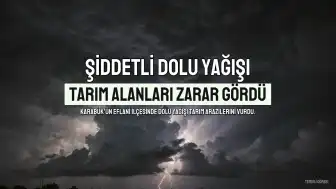 Karabük'ün Eflani İlçesinde Şiddetli Dolu Yağışı Tarım Alanlarına Zarar Verdi