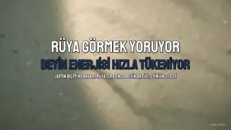 Rüya Görmek Beyin Enerjisini Tüketiyor: Yeni Araştırma Sonuçları Açıklandı