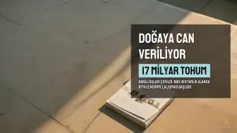 Sular Çekildi, 17 Milyar Tohumla Doğaya Can Veriliyor