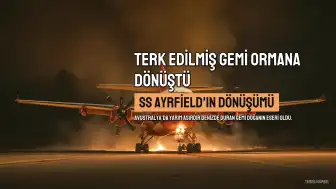 Terk Edilmiş Gemi Doğanın Kucağında Ormana Dönüştü