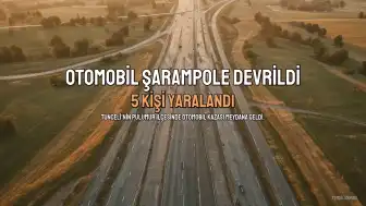 Tunceli'de otomobil şarampole devrildi: 5 yaralı