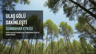 Ulaş Gölü Mesire Alanı Sonbaharda Sakinleşti