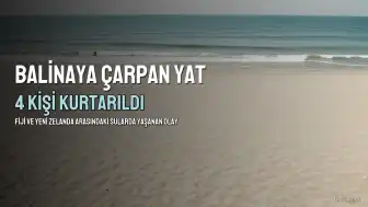Fiji-Yeni Zelanda arasında seyreden yatta balinaya çarpan 4 kişi kurtarıldı