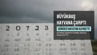 Kastamonu'da Büyükbaş Hayvana Çarpan Otomobil Sürücüsü Hayatını Kaybetti