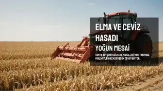 Konya Beyşehir Gölyaka'da Elma ve Ceviz Hasadı Yoğun Şekilde Devam Ediyor