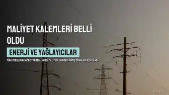 TÜİK Verileri: Tarımsal Üretim Maliyetlerinde Yıllık Artış Yüzde 30'u Aştı