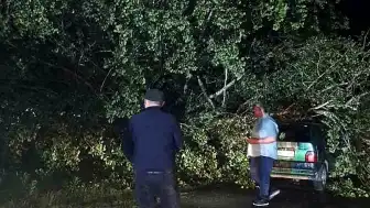 Bartın'da Fırtına Nedeniyle Ağaçlar Otomobillerin Üzerine Devrildi