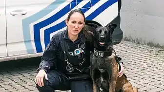 Belçika'da Köpeklere Özel Menü Uygulaması ve Türkiye Karşılaştırması