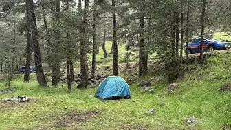 Bolu'da Ormana Yıldırım Düşmesiyle 3 Kişi Yaralandı
