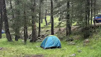 Bolu'da Yıldırım Düşmesi Sonucu 3 Kişi Yaralandı