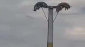 Buca'da Lunapark Faciası: Bayram Eğlencesi Kabusa Döndü