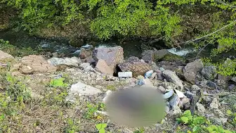 Düzce Yaylasında Bıçaklanmış Erkek Cesedi Bulundu