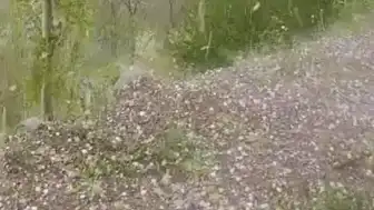Erzurum'da Ceviz Büyüklüğünde Dolu Yağışı Tarım Alanlarına Zarar Verdi