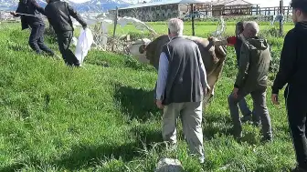 Erzurum'da Kurban Kesimi Sırasında Bir Kişi Hayatını Kaybetti, Çok Sayıda Kişi Yaralandı