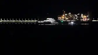 Hantavirüs Salgını: Gemi Türkiye'ye Geliyor, 3 Türk Vatandaşı Karantinaya Alınacak