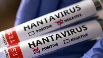 Hantavirüs Türkiye'ye Geldi mi? Sağlık Bakanlığı Açıklama Yaptı